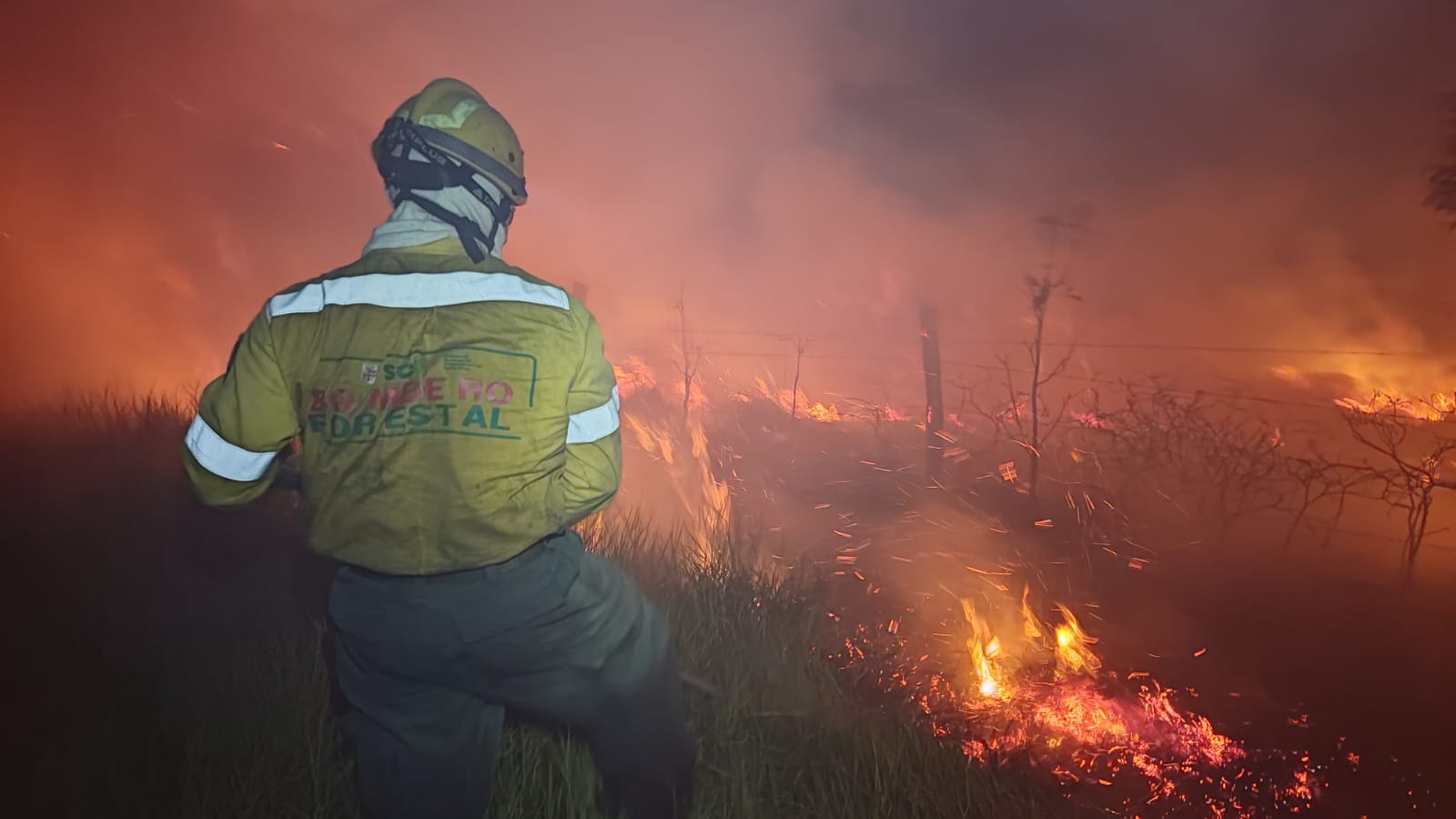 Incendios forestales consumen más de 76 mil hectáreas en Santa Cruz