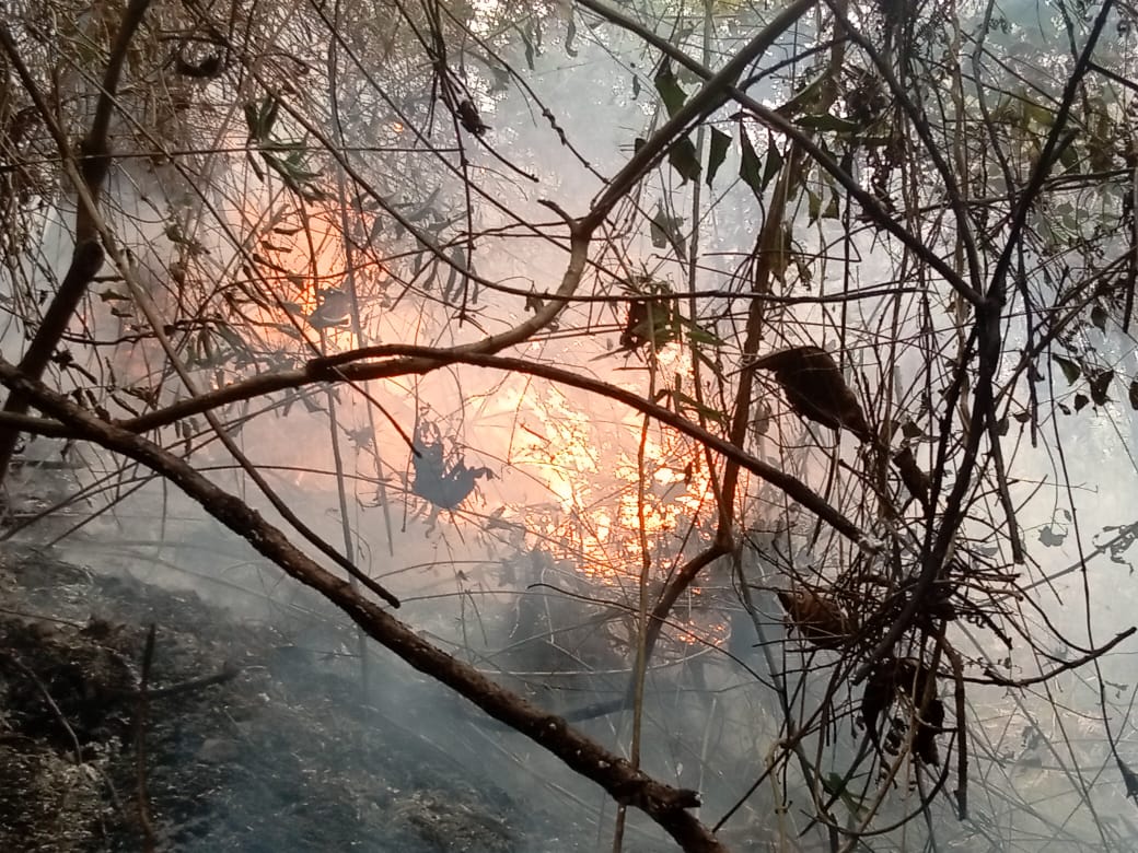 Lluvias ayudan a mitigar las llamas, pero persisten los incendios forestales